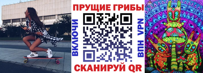 Галлюциногенные грибы GOLDEN TEACHER  как найти   Ладушкин 